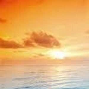 Meet your Posher, Halley